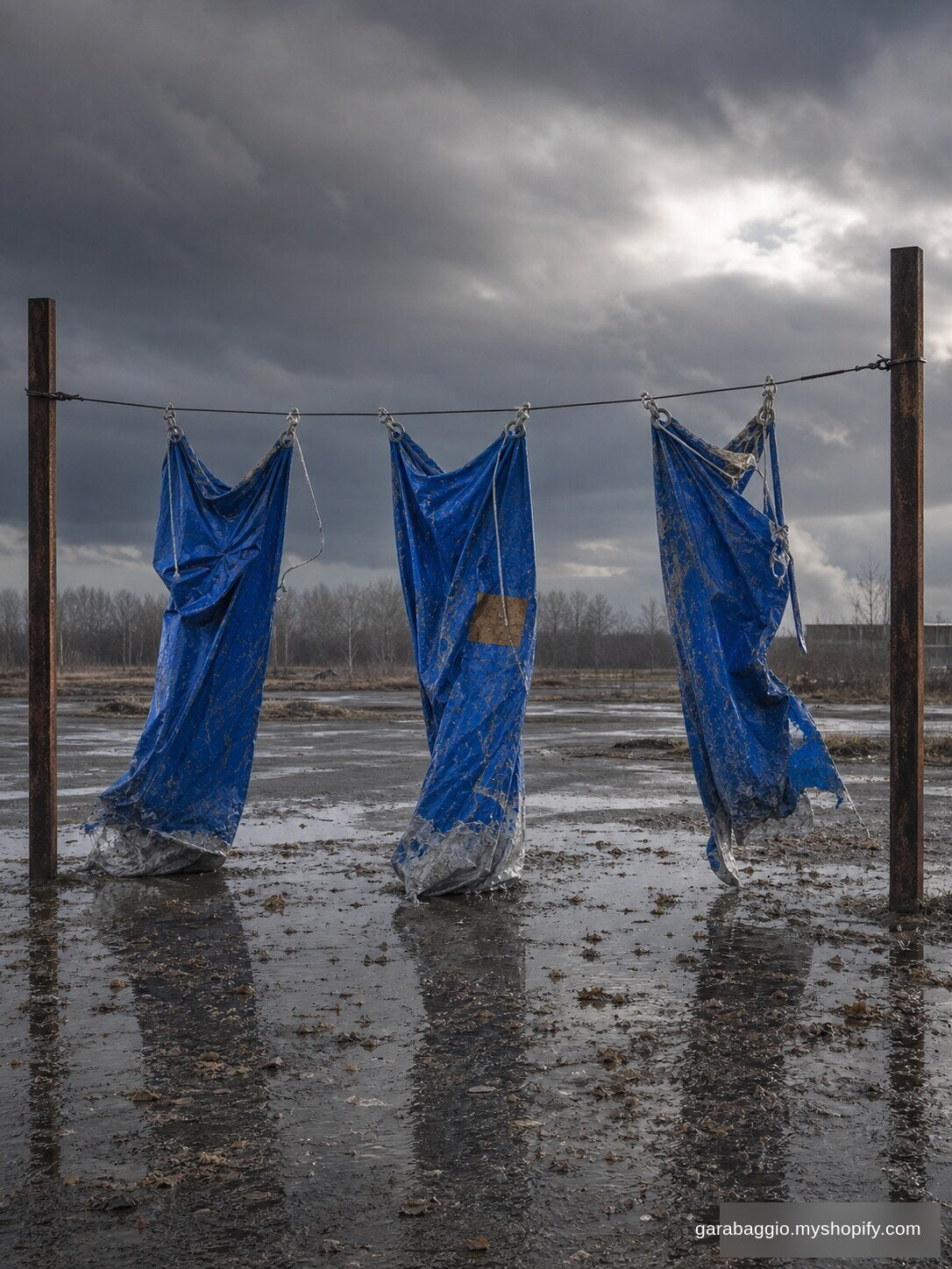 Banners After the Gale