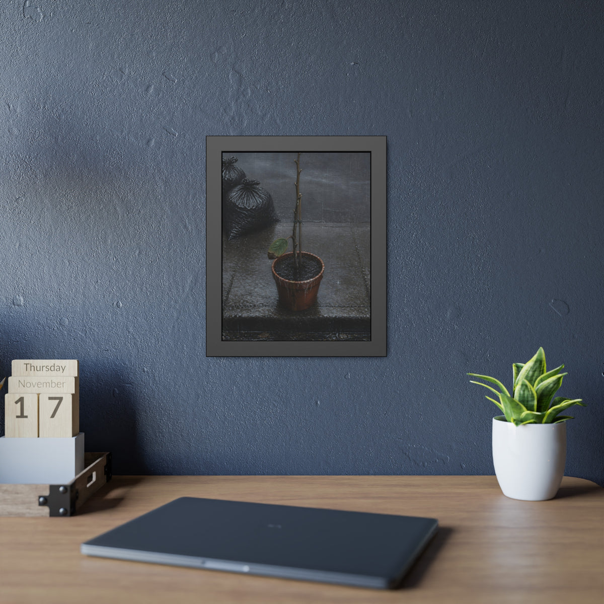 A near bare potted plant left out in the rain beside black garbage bags. The First Rain (Houseplant) by Garabaggio, framed fine art print hanging in a room.
