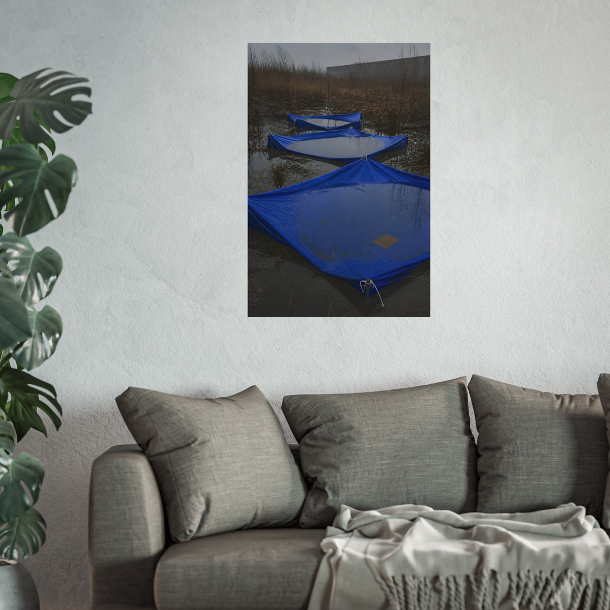 Three blue tarps holding pooled rainwater in a weedy vacant lot. Flooded in the Vacant Lot by Garabaggio, fine art print hanging in a room.