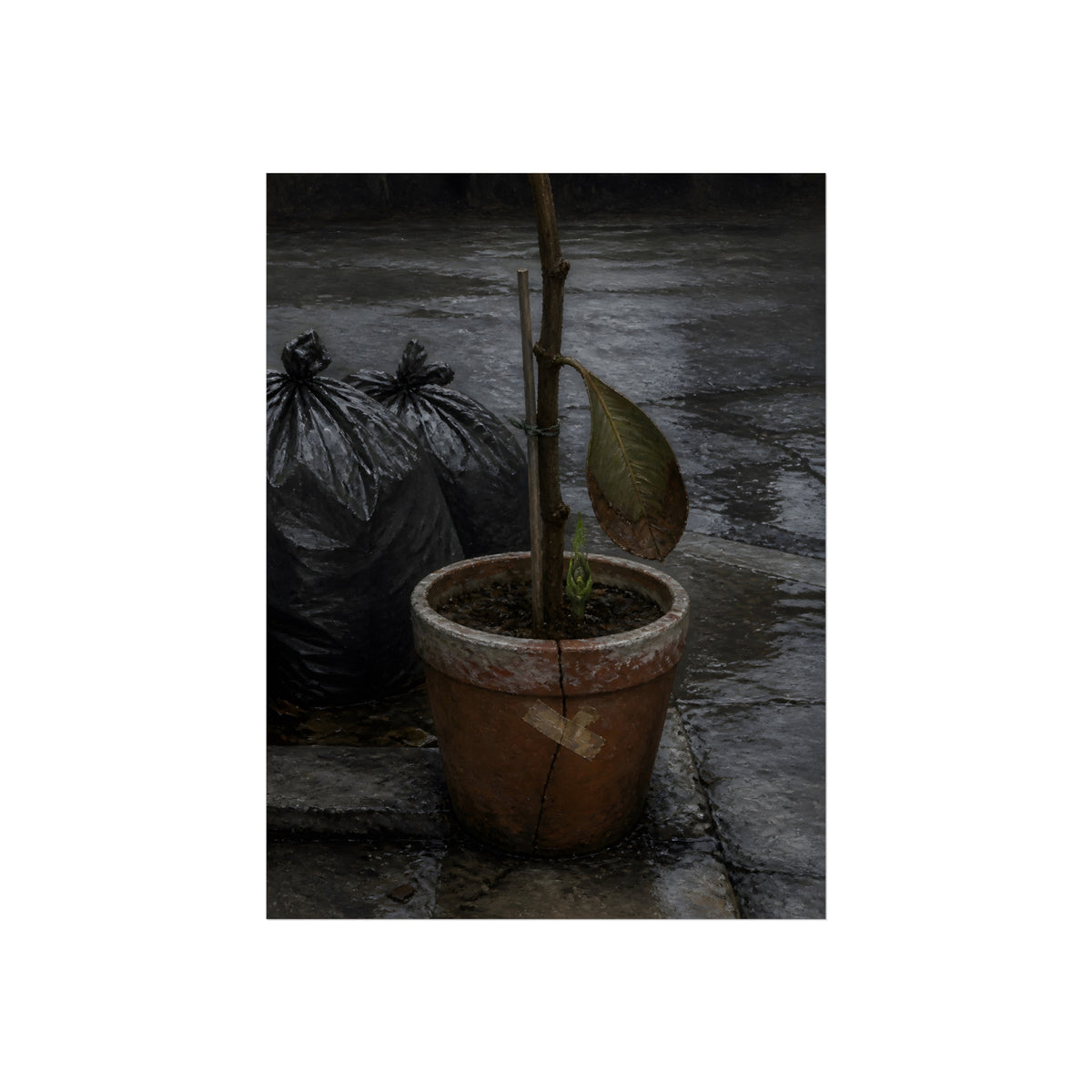 A taped clay pot with one leaf and a green shoot on wet pavement. The Green at the Base by Garabaggio, fine art print, 18″ x 24″.