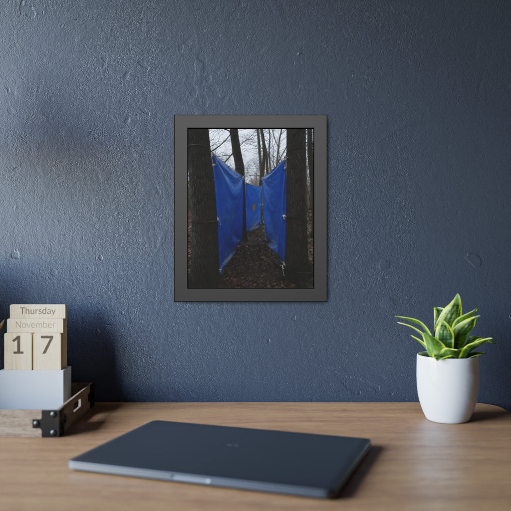 Blue tarps tied between bare trees forming a corridor over dead leaves. Passage Between Trees by Garabaggio, framed fine art print hanging in a room.