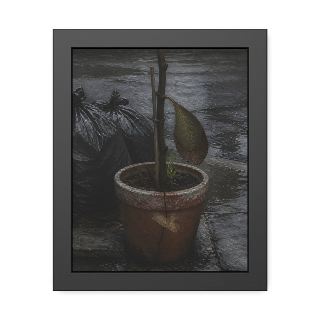 A taped clay pot with one leaf and a green shoot on wet pavement. The Green at the Base by Garabaggio, framed fine art print, 11″ x 14″.