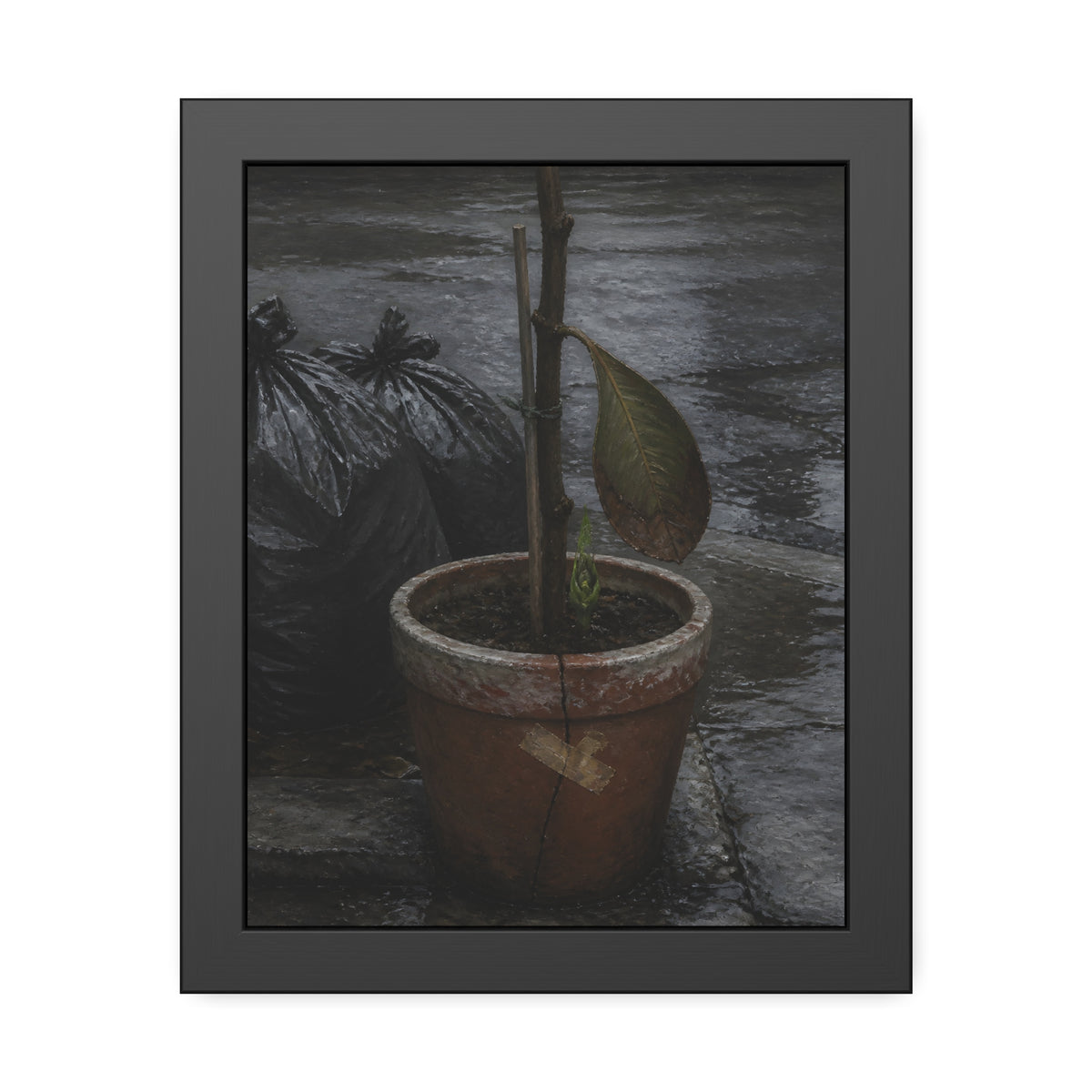 A taped clay pot with one leaf and a green shoot on wet pavement. The Green at the Base by Garabaggio, framed fine art print, 11″ x 14″.