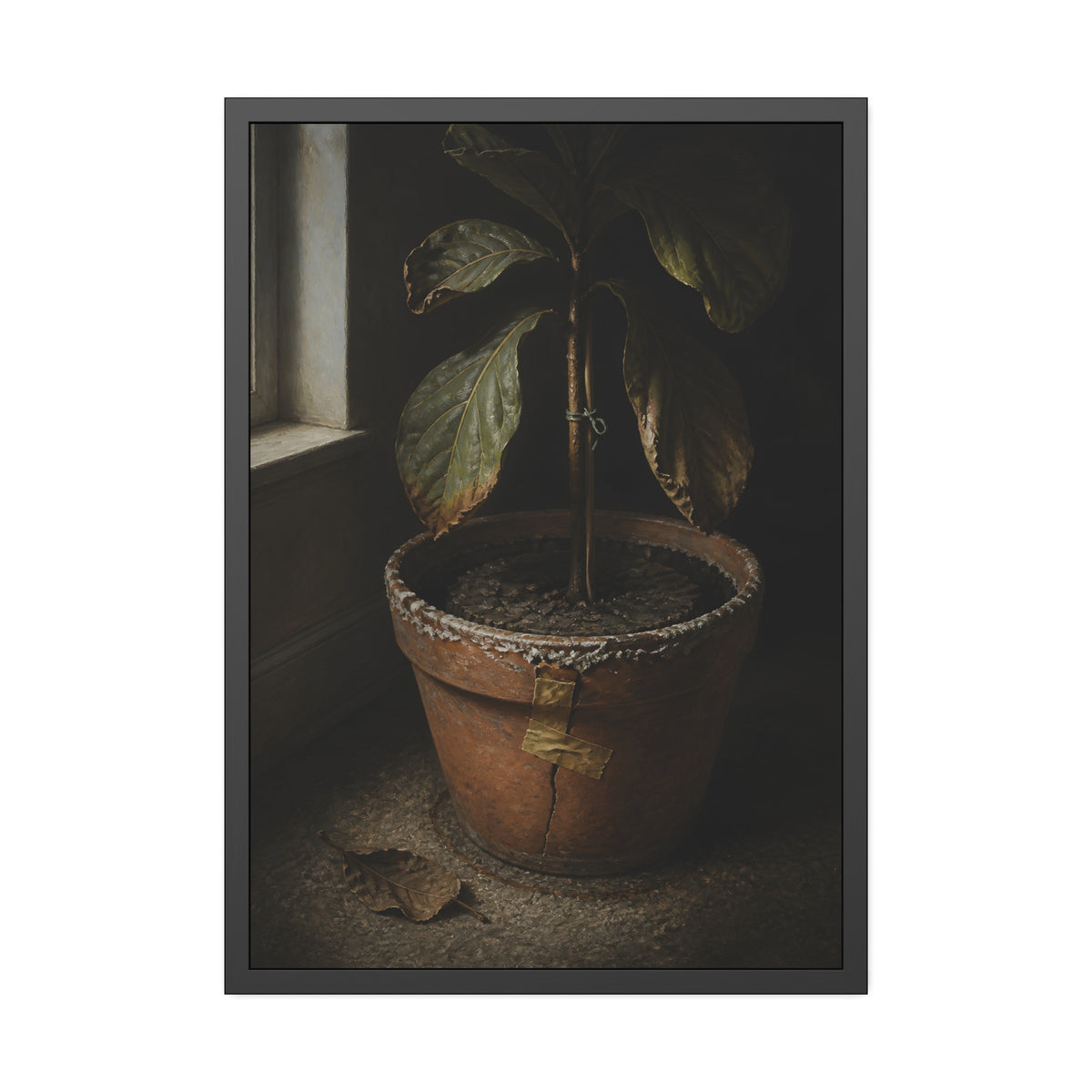 A drooping potted plant in a cracked terracotta pot beside a window. The Missed Watering by Garabaggio, framed fine art print, 28″ x 40″.
