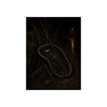 A bent bicycle wheel snagged in dry weeds on a dark riverbank. The Catching in Weeds by Garabaggio, fine art print, 12″ x 16″.