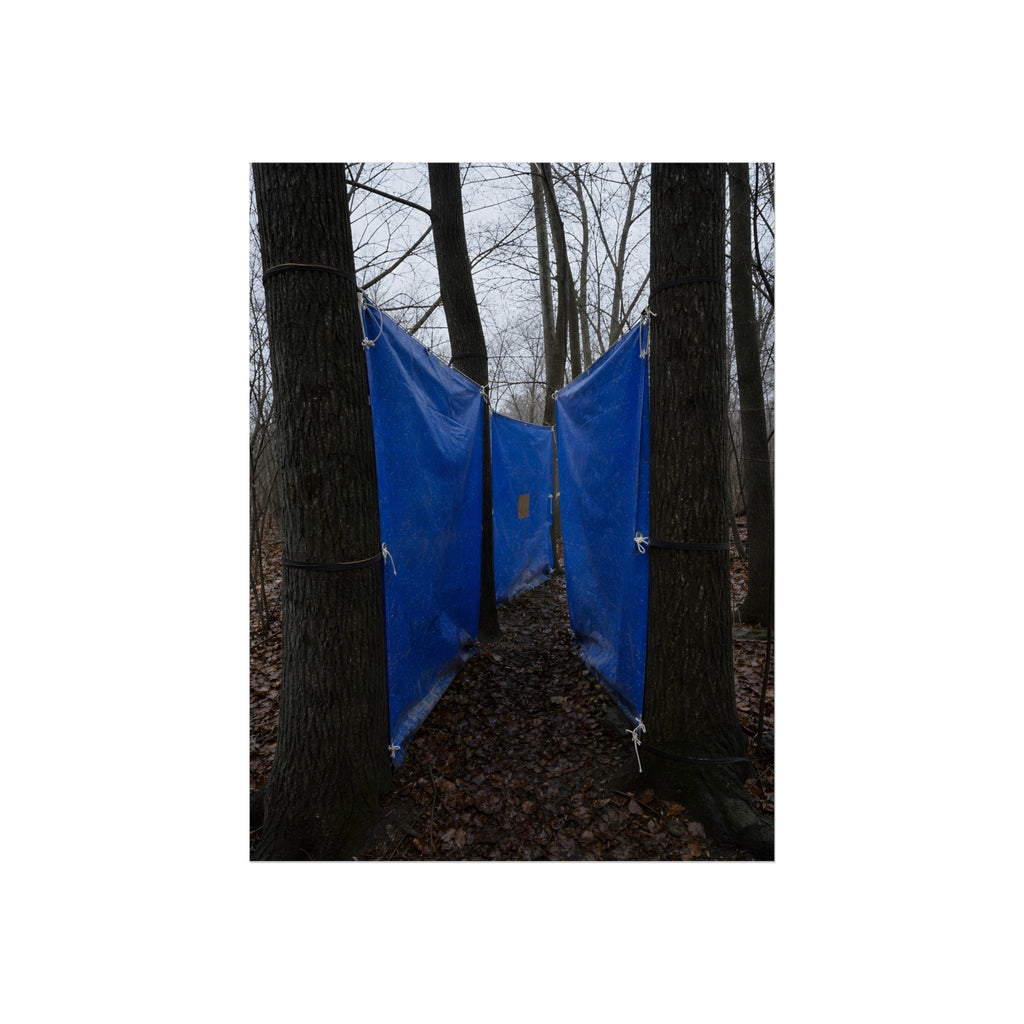 Blue tarps tied between bare trees forming a corridor over dead leaves. Passage Between Trees by Garabaggio, fine art print, 12″ x 16″.