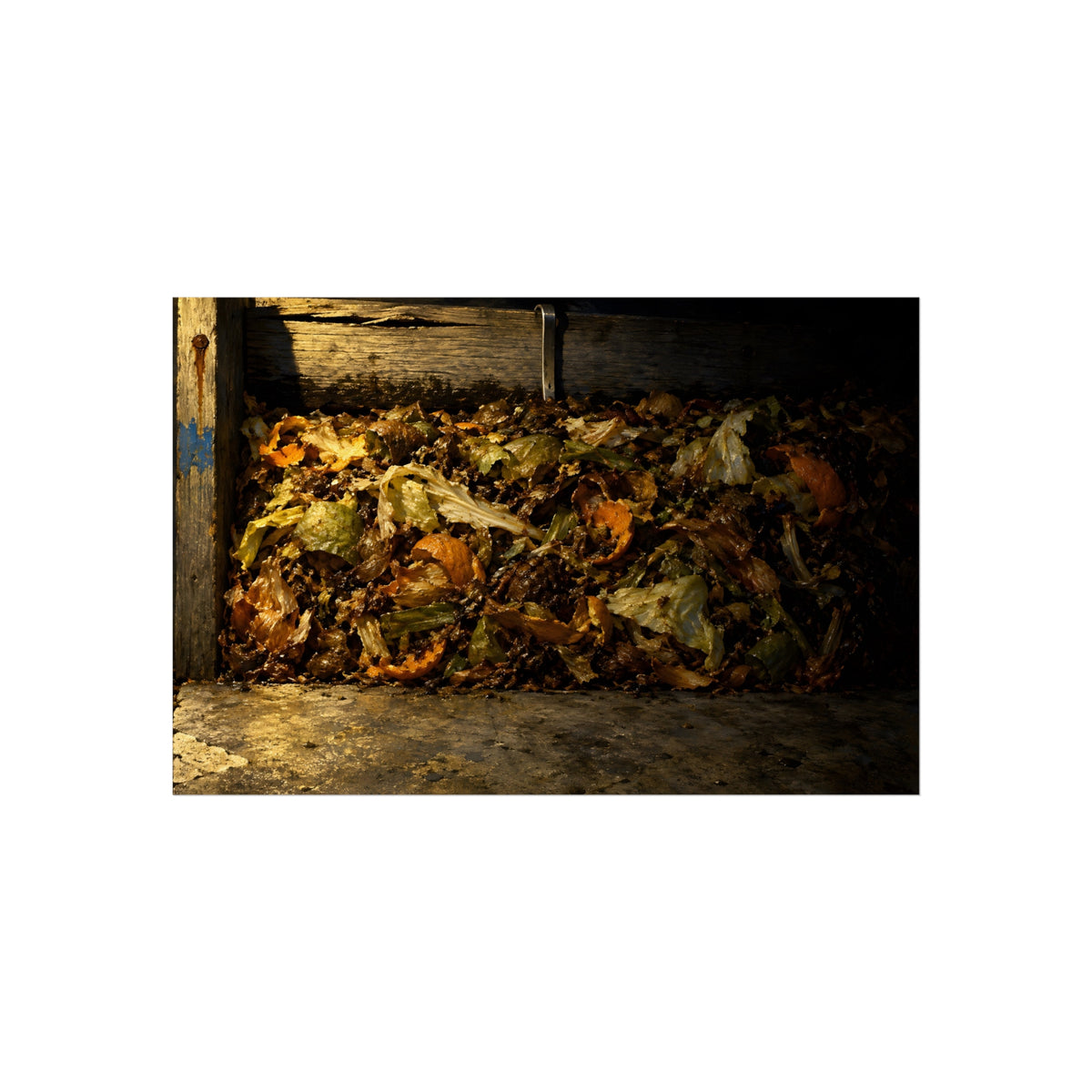 "The Peel Going Dull": A Garabaggio Fine Art Print