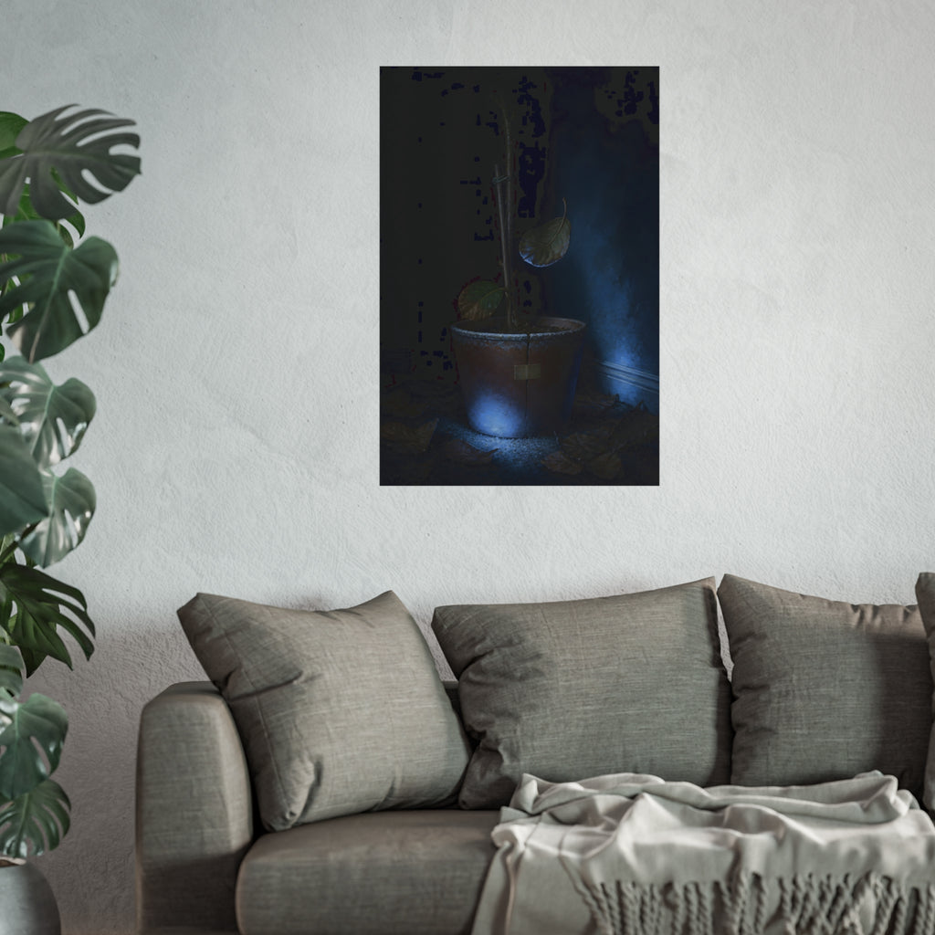 A bare potted plant dropping a leaf, dead leaves on the floor. The Leaf Lets Go by Garabaggio, fine art print hanging in a room.