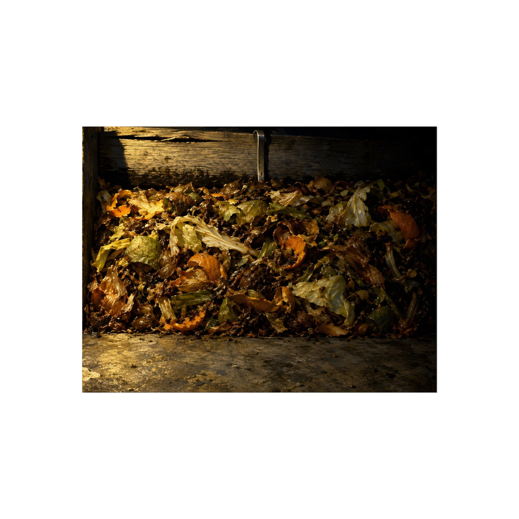 "The Peel Going Dull": A Garabaggio Fine Art Print