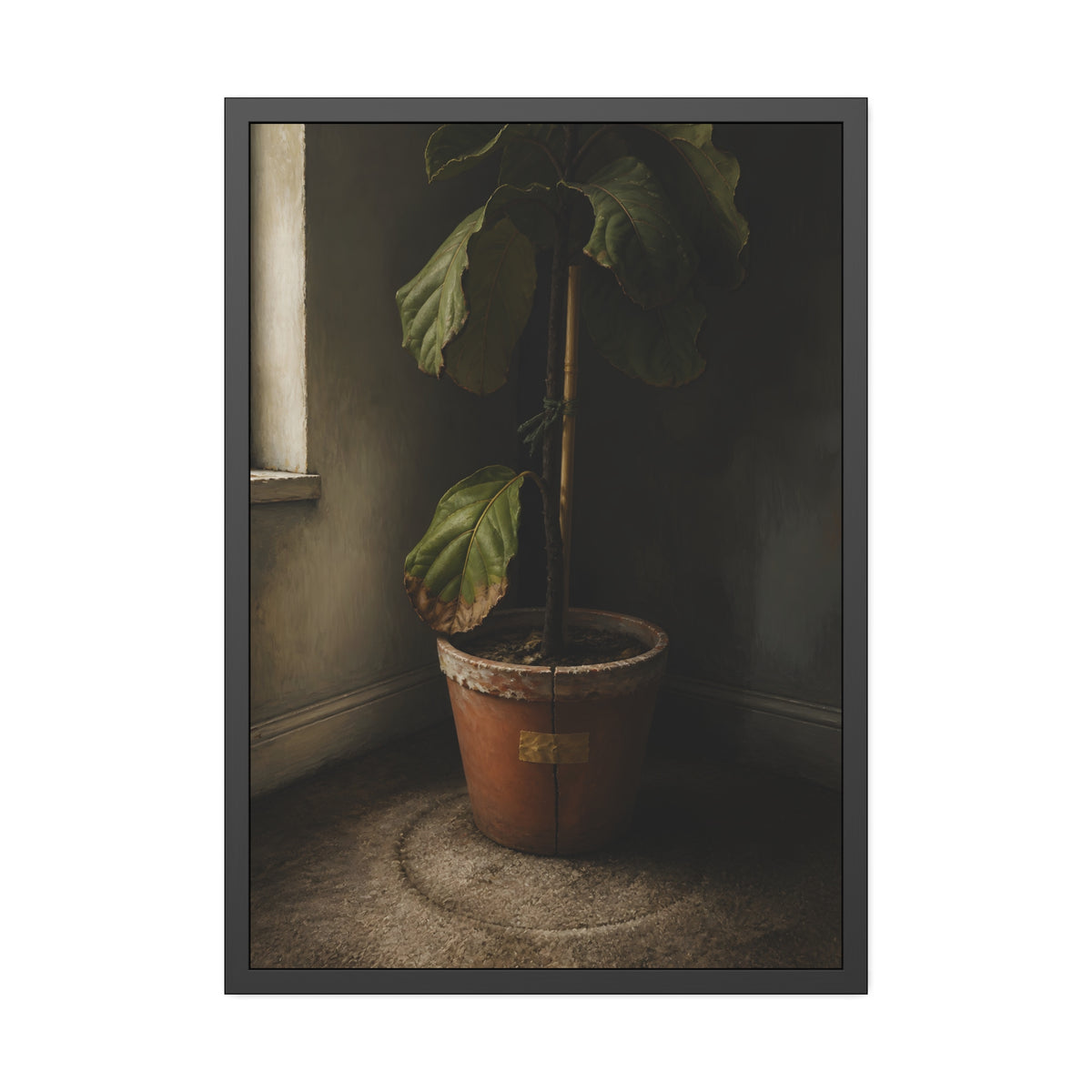 A leafy potted fig staked to a cane in a taped clay pot beside a window. The Corner by the Window by Garabaggio, framed fine art print, 28″ x 40″.