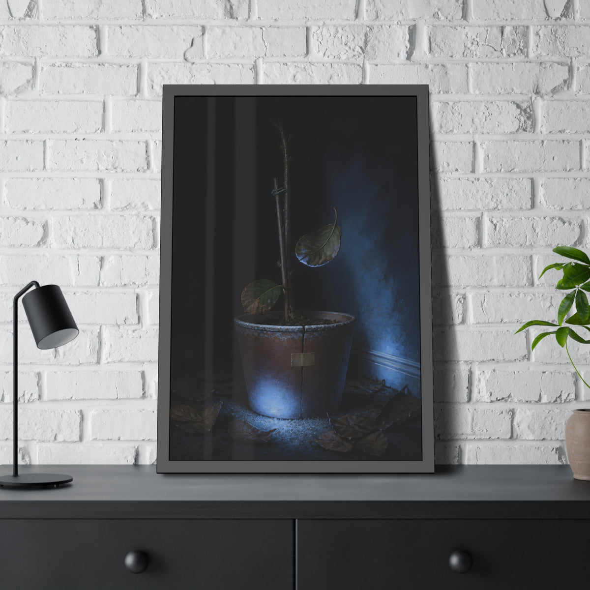 A bare potted plant dropping a leaf, dead leaves on the floor. The Leaf Lets Go by Garabaggio, framed fine art print hanging in a room.