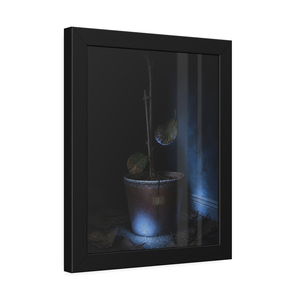 A bare potted plant dropping a leaf, dead leaves on the floor. The Leaf Lets Go by Garabaggio, framed fine art print hanging in a room.