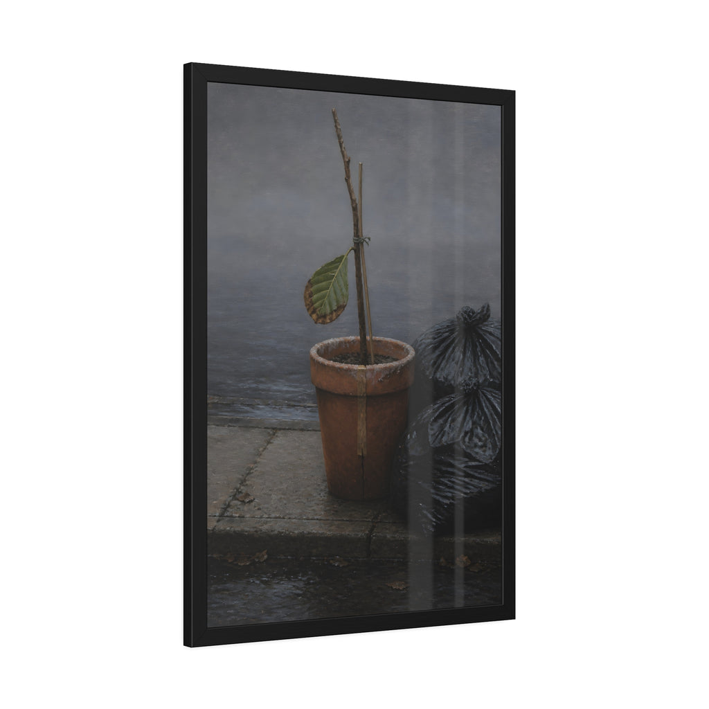 A potted dead twig with one leaf beside black garbage bags on a wet curb. The Curb on Tuesday by Garabaggio, framed fine art print hanging in a room.
