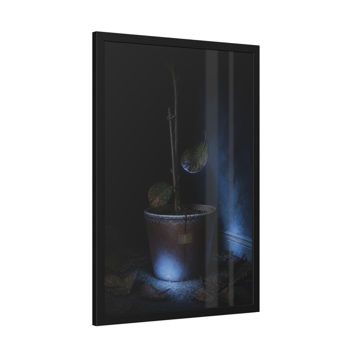 A bare potted plant dropping a leaf, dead leaves on the floor. The Leaf Lets Go by Garabaggio, framed fine art print hanging in a room.