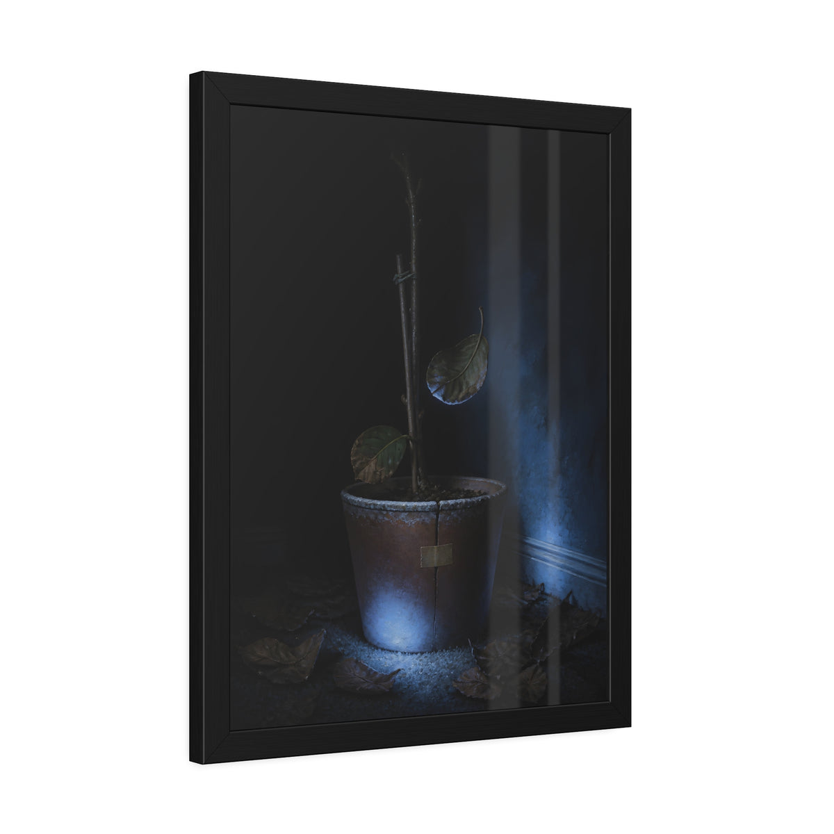 A bare potted plant dropping a leaf, dead leaves on the floor. The Leaf Lets Go by Garabaggio, framed fine art print hanging in a room.