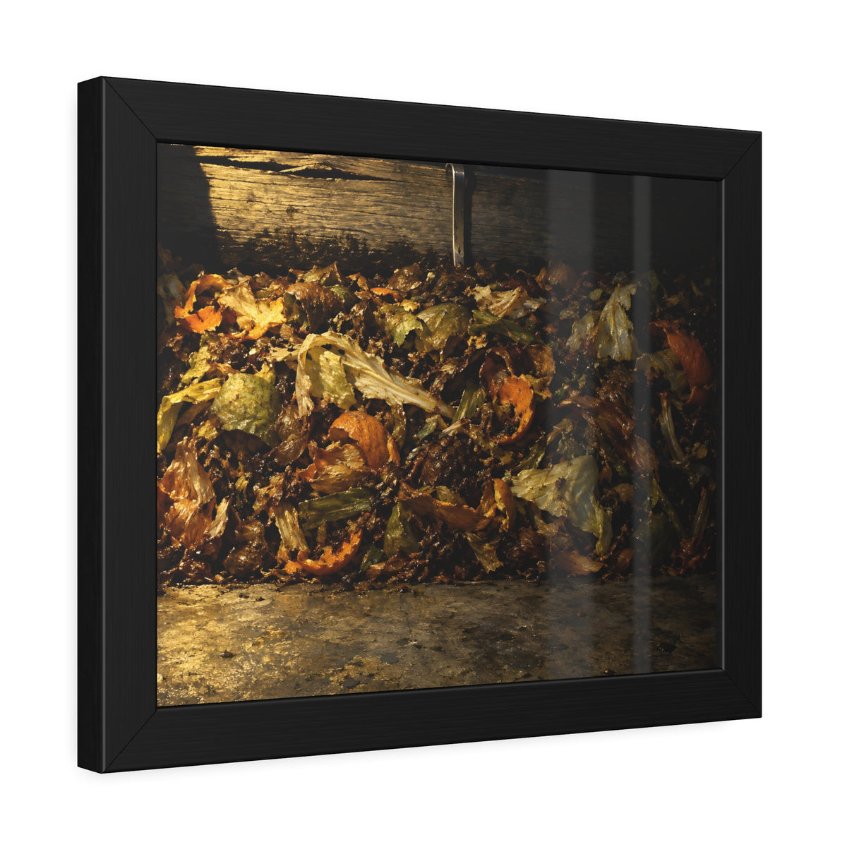 "The Peel Going Dull": A Garabaggio Framed Print