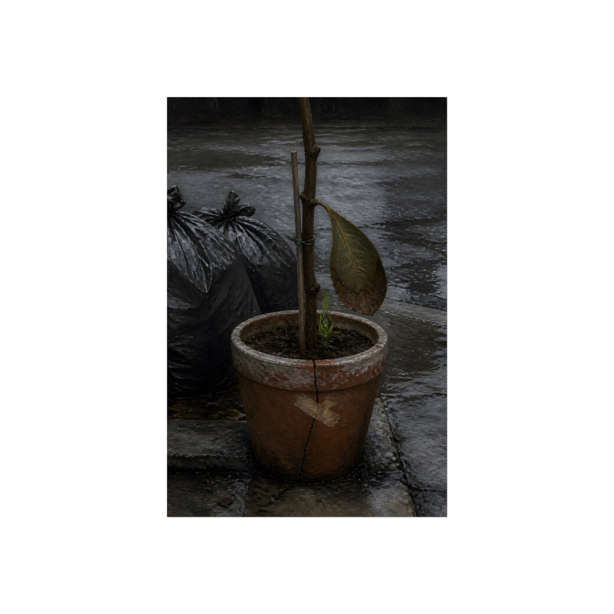 A taped clay pot with one leaf and a green shoot on wet pavement. The Green at the Base by Garabaggio, fine art print, 24″ x 36″.
