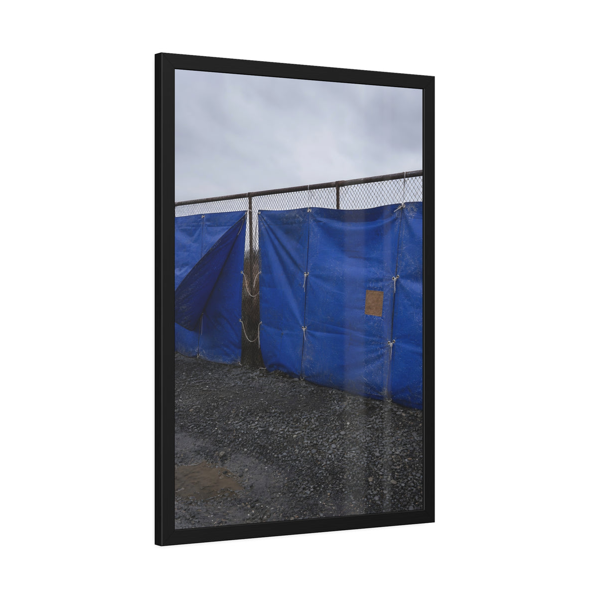Blue tarps lashed to a chain link fence above gravel under grey sky. Drapery on the Fence by Garabaggio, framed fine art print hanging in a room.