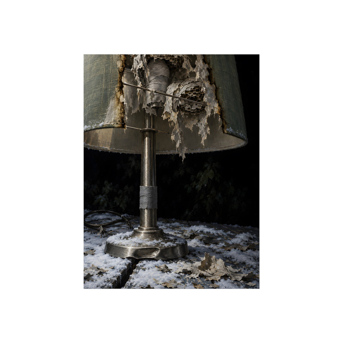"Snow on the Shade": A Garabaggio Fine Art Print