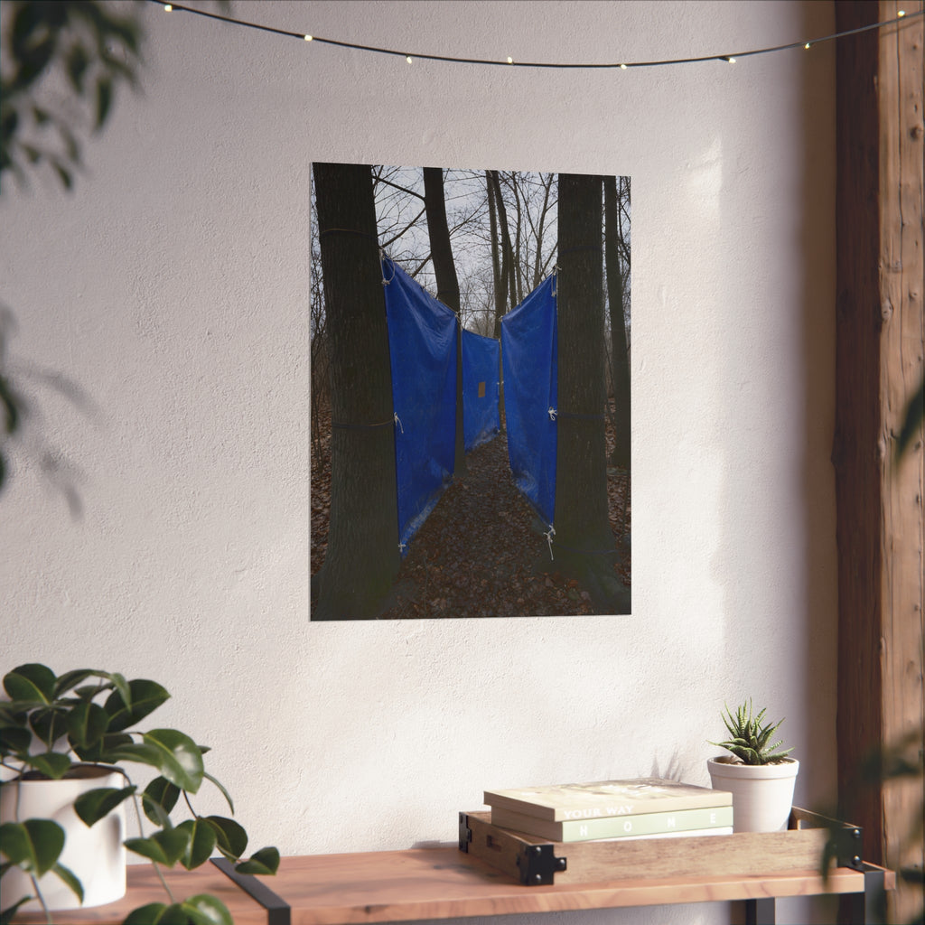 Blue tarps tied between bare trees forming a corridor over dead leaves. Passage Between Trees by Garabaggio, fine art print hanging in a room.