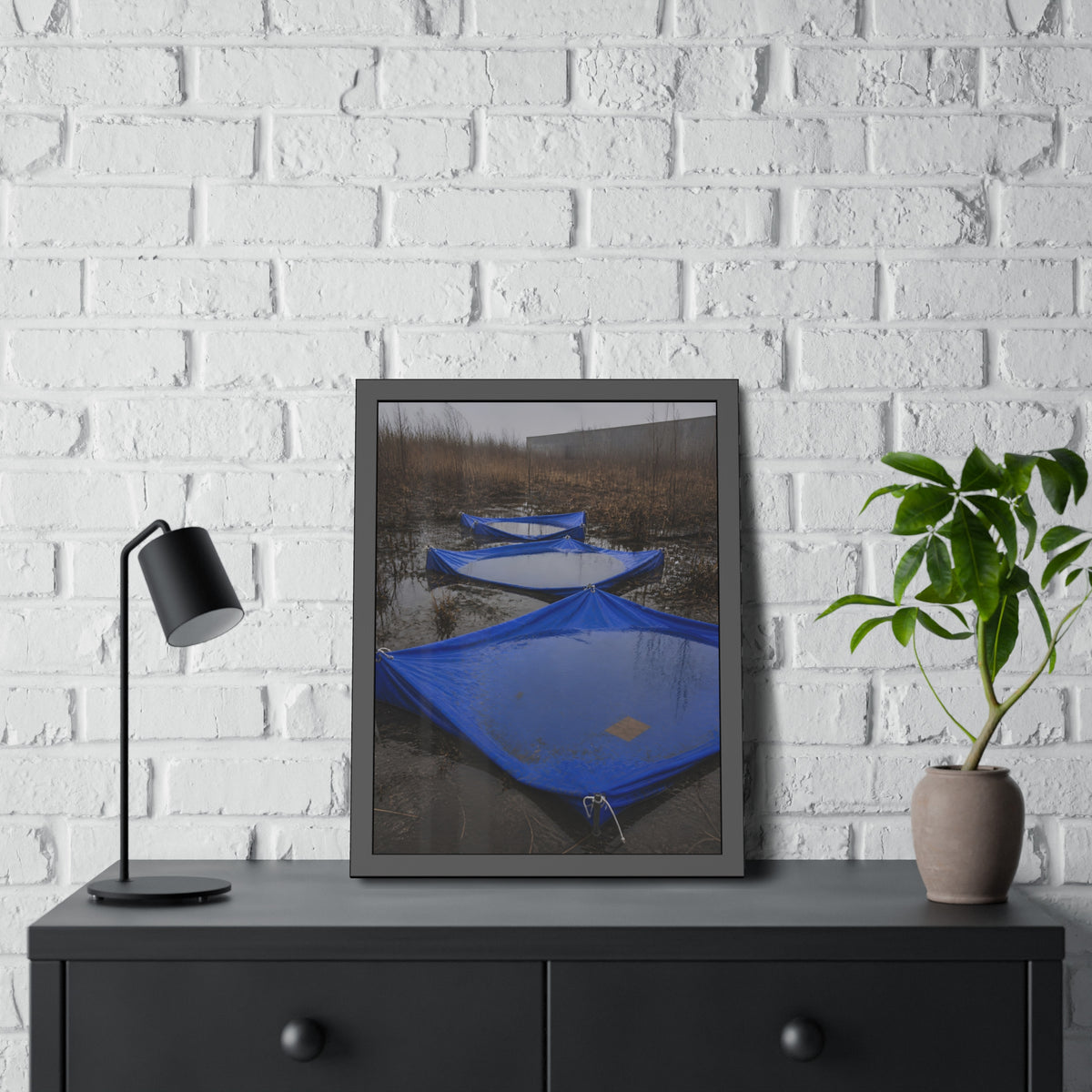 Three blue tarps holding pooled rainwater in a weedy vacant lot. Flooded in the Vacant Lot by Garabaggio, framed fine art print hanging in a room.