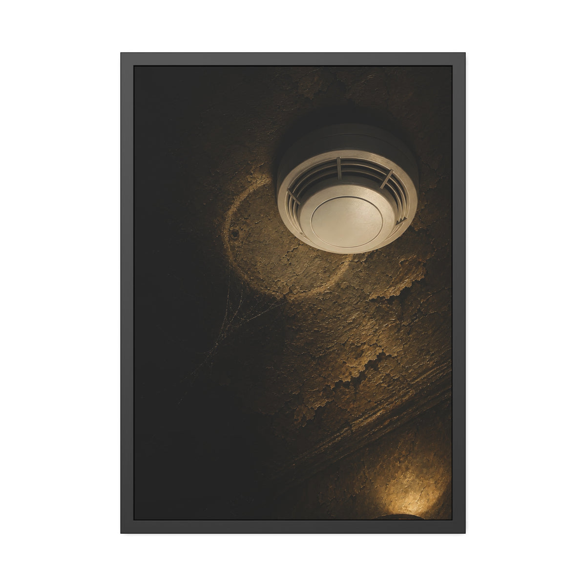 A new smoke detector on a stained ceiling next to an old mounting ring. The New Detector by Garabaggio, framed fine art print, 28″ x 40″.