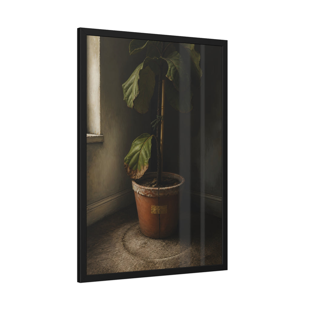 A leafy potted fig staked to a cane in a taped clay pot beside a window. The Corner by the Window by Garabaggio, framed fine art print hanging in a room.