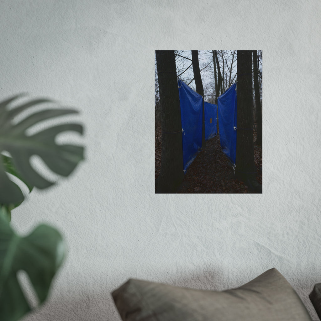 Blue tarps tied between bare trees forming a corridor over dead leaves. Passage Between Trees by Garabaggio, fine art print hanging in a room.