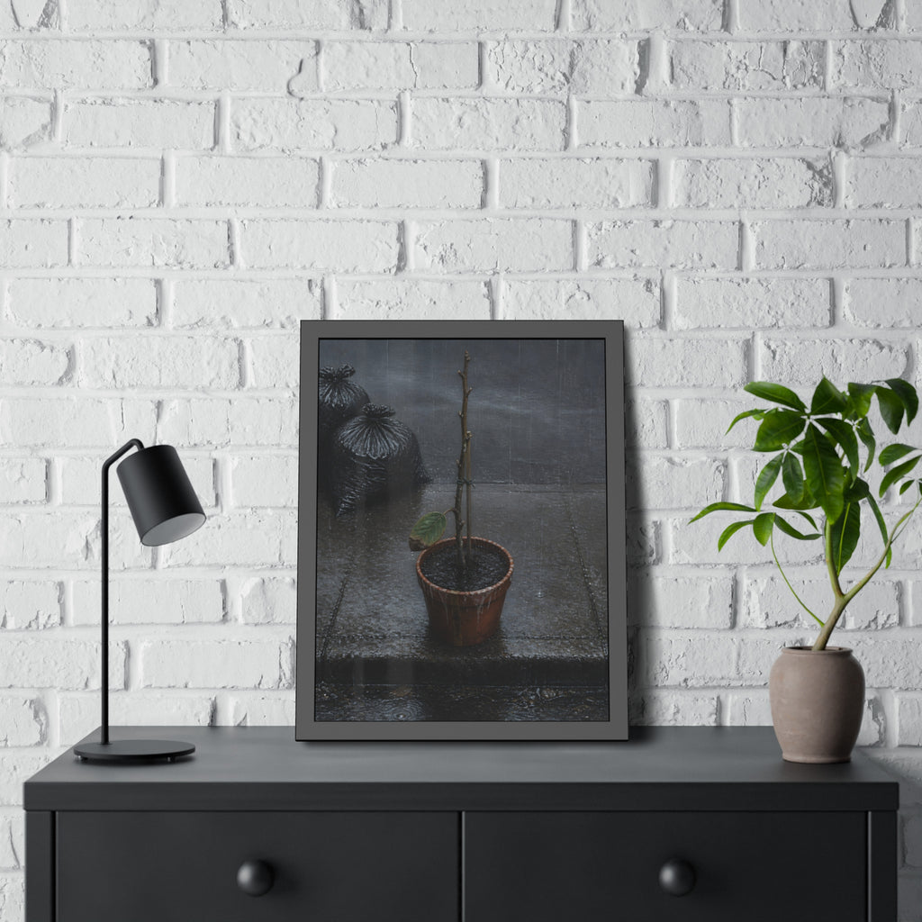 A near bare potted plant left out in the rain beside black garbage bags. The First Rain (Houseplant) by Garabaggio, framed fine art print hanging in a room.
