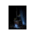 A bare potted plant dropping a leaf, dead leaves on the floor. The Leaf Lets Go by Garabaggio, fine art print, 12″ x 16″.