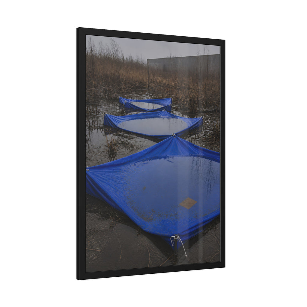 Three blue tarps holding pooled rainwater in a weedy vacant lot. Flooded in the Vacant Lot by Garabaggio, framed fine art print hanging in a room.