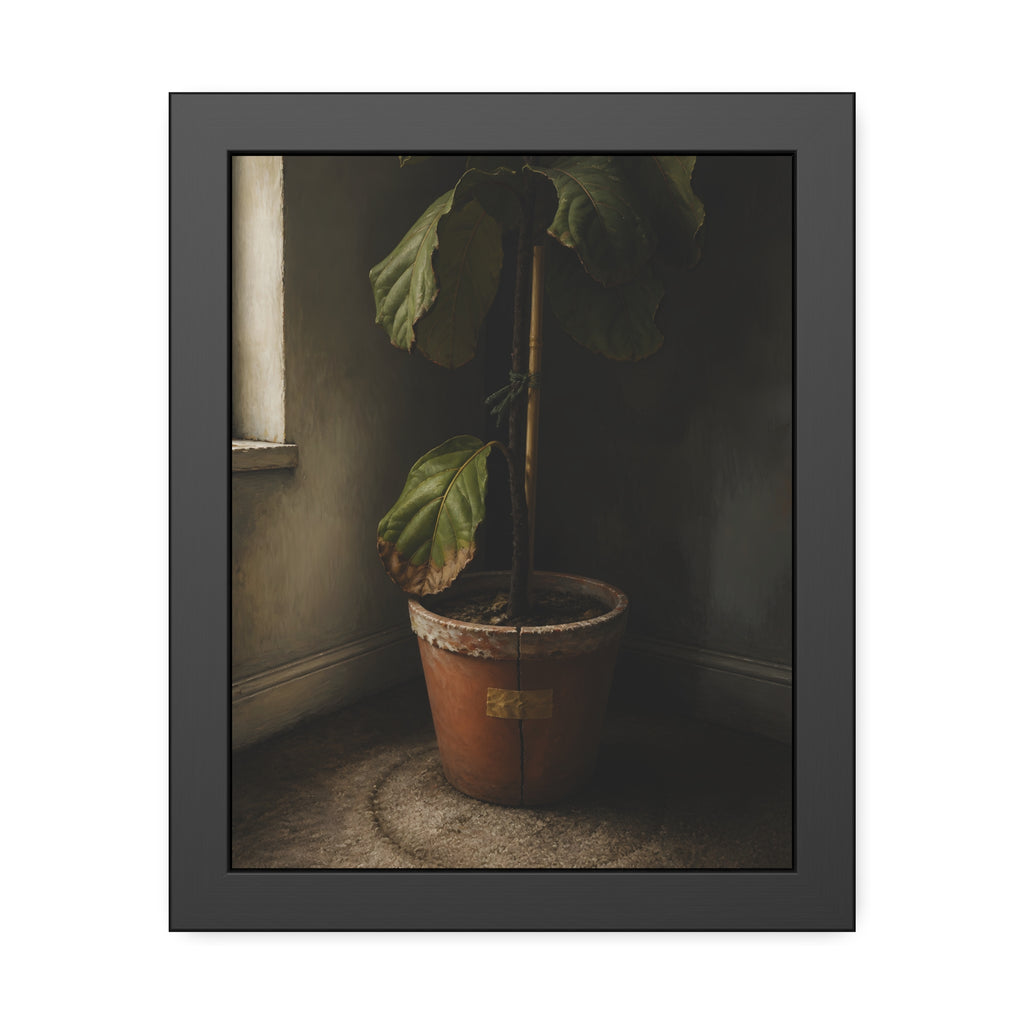 A leafy potted fig staked to a cane in a taped clay pot beside a window. The Corner by the Window by Garabaggio, framed fine art print, 11″ x 14″.