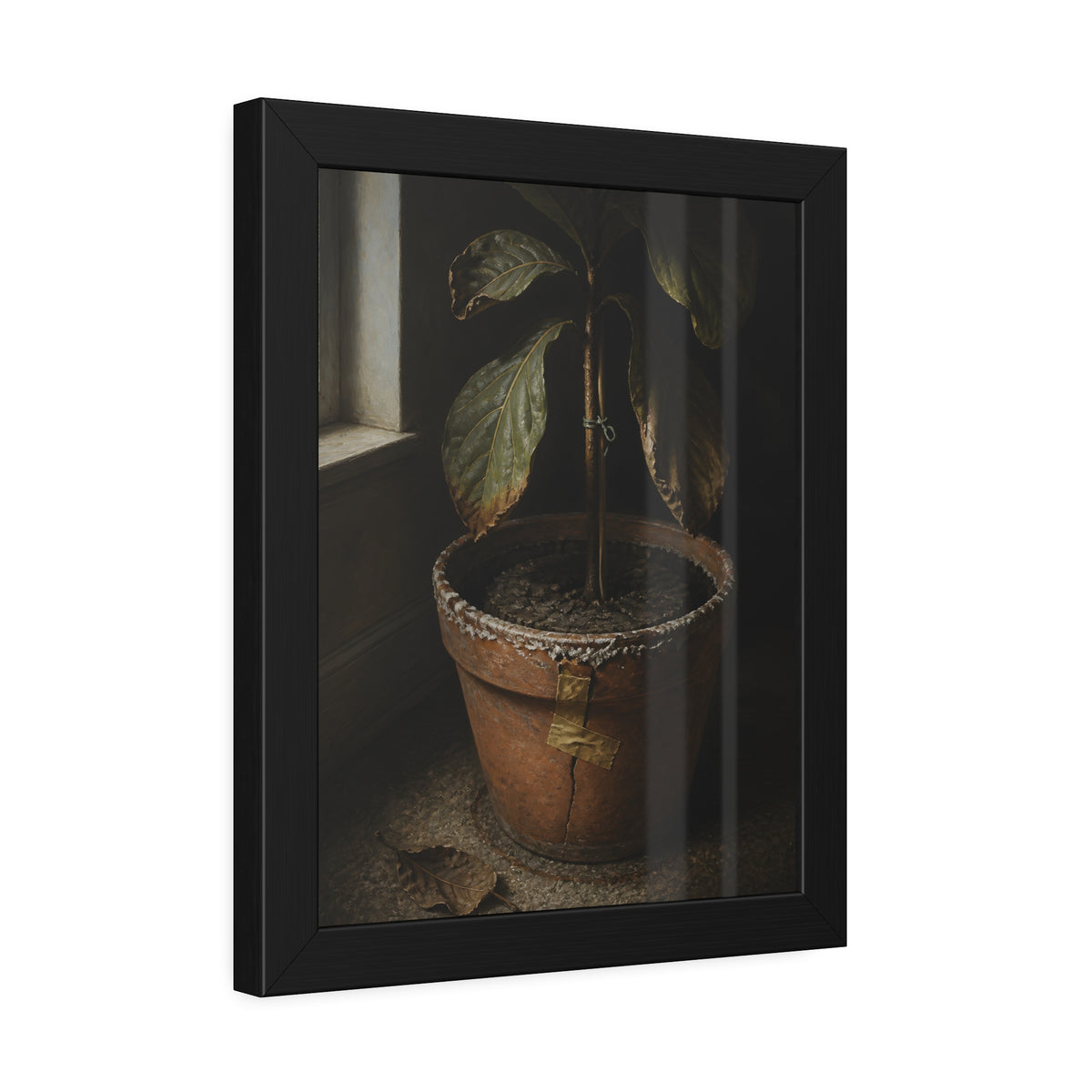 A drooping potted plant in a cracked terracotta pot beside a window. The Missed Watering by Garabaggio, framed fine art print hanging in a room.
