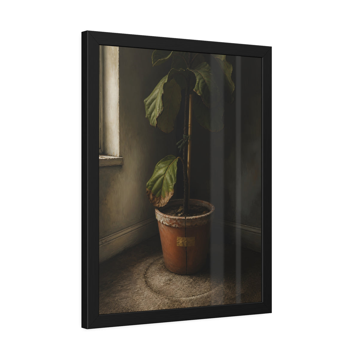 A leafy potted fig staked to a cane in a taped clay pot beside a window. The Corner by the Window by Garabaggio, framed fine art print hanging in a room.