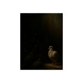 A pale pigeon on a ledge, a dark flock watching from the shadows behind. The Vigil Before the Ascension by Garabaggio, fine art print, 12″ x 16″.