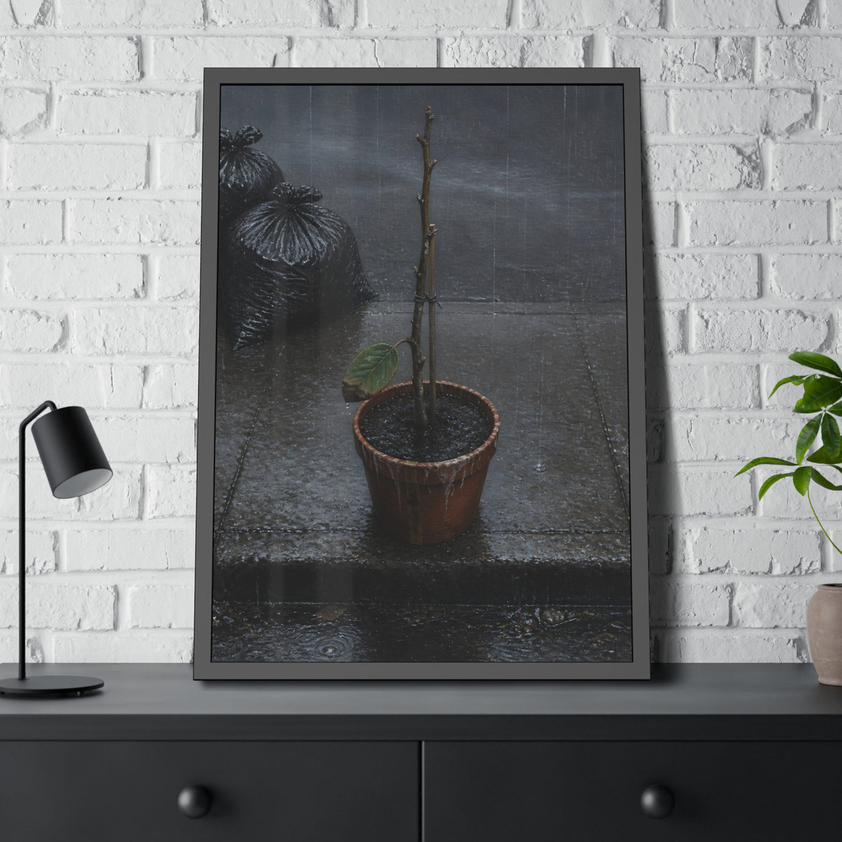 A near bare potted plant left out in the rain beside black garbage bags. The First Rain (Houseplant) by Garabaggio, framed fine art print hanging in a room.