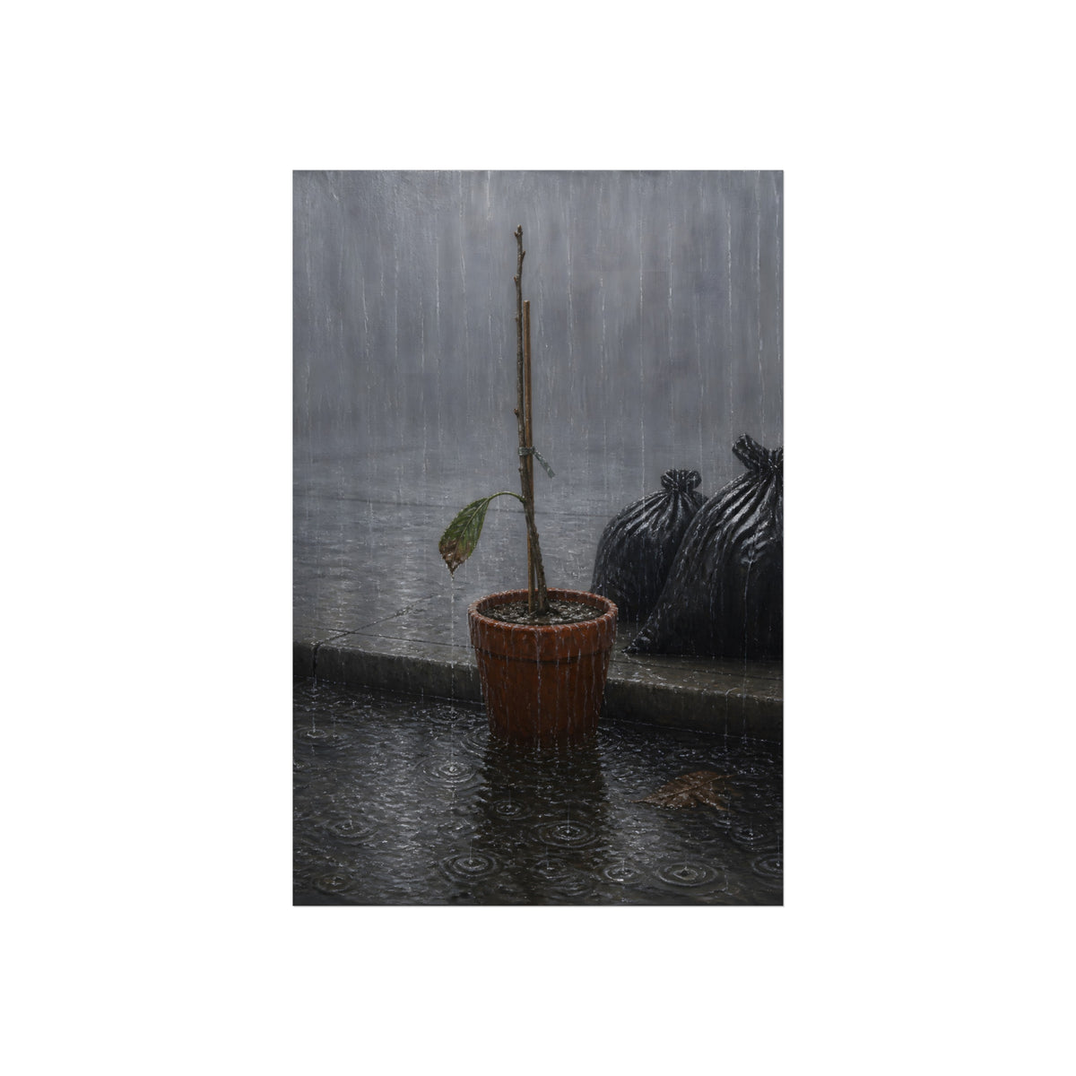A bare stick in a clay pot on a curb in heavy rain beside trash bags. The Second Rain by Garabaggio, fine art print, 24″ x 36″.