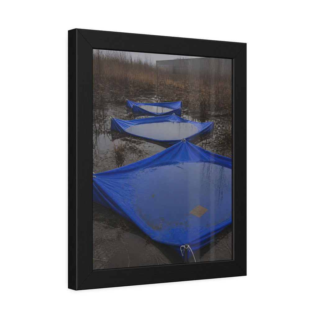 Three blue tarps holding pooled rainwater in a weedy vacant lot. Flooded in the Vacant Lot by Garabaggio, framed fine art print hanging in a room.