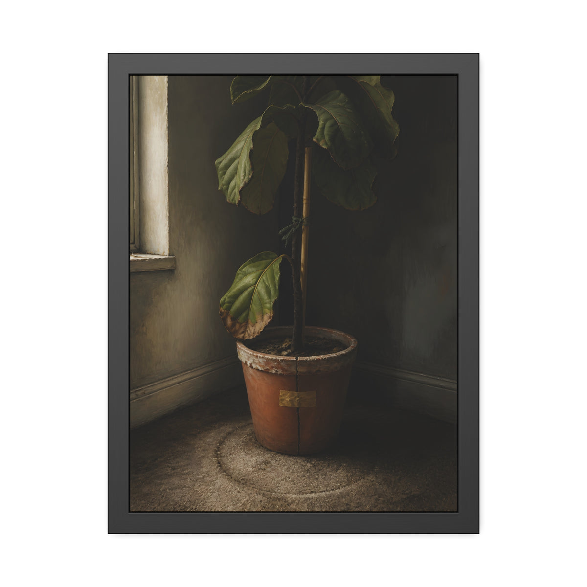 A leafy potted fig staked to a cane in a taped clay pot beside a window. The Corner by the Window by Garabaggio, framed fine art print, 18″ x 24″.