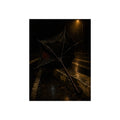 A broken umbrella inside out on a wet curb under a street lamp. The Inversion at the Median by Garabaggio, fine art print, 12″ x 16″.