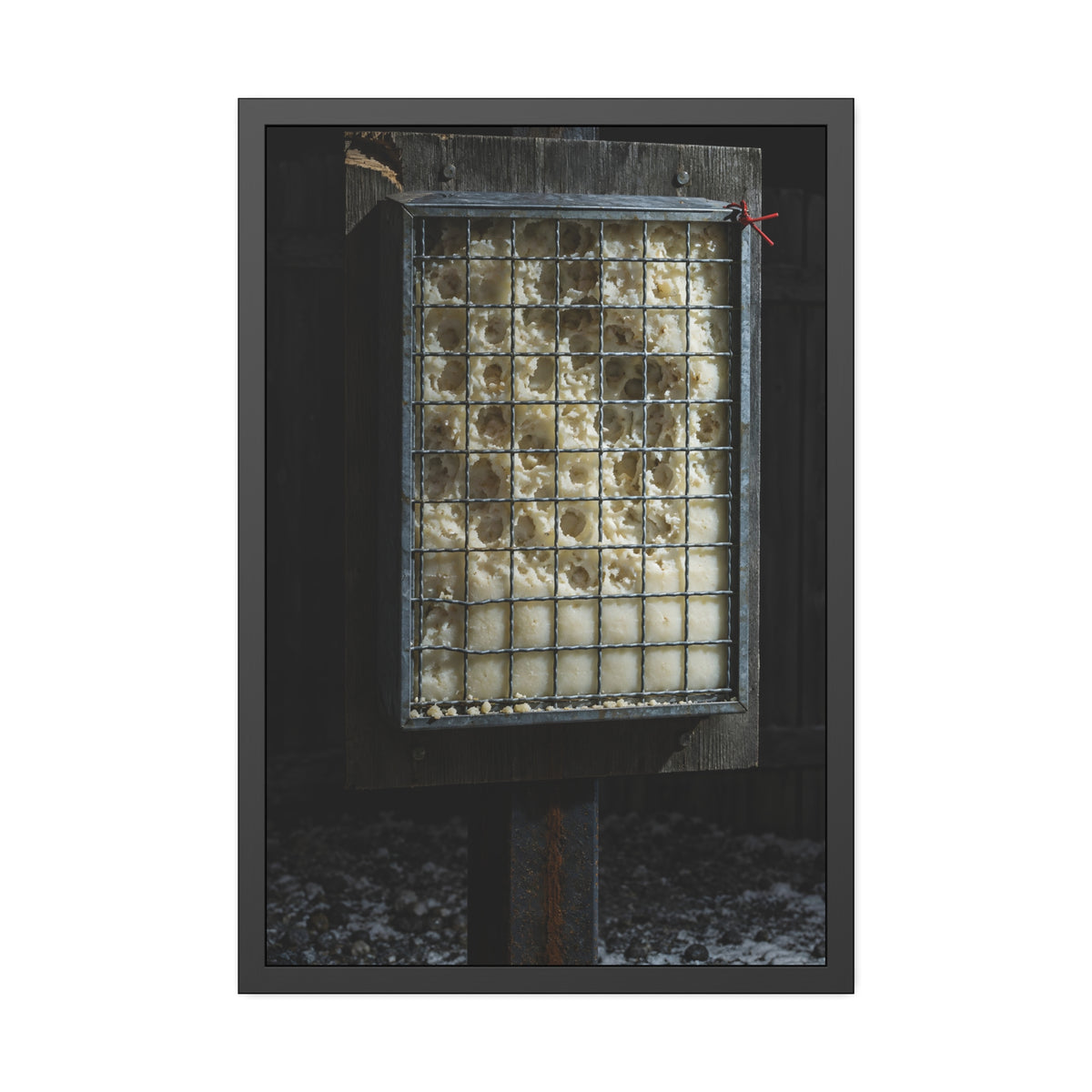 "The First Pitting": A Garabaggio Framed Print