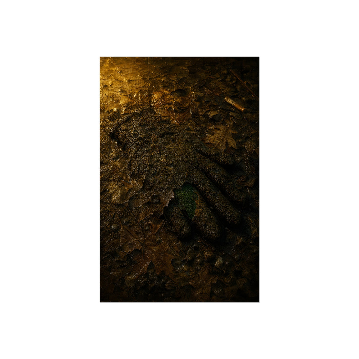 Wet mud and pressed oak leaves with a green scrap barely showing. The Reliquary of Mud and Leaf by Garabaggio, fine art print hanging in a room.