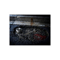 "The Red Wool in the Gravel": A Garabaggio Fine Art Print