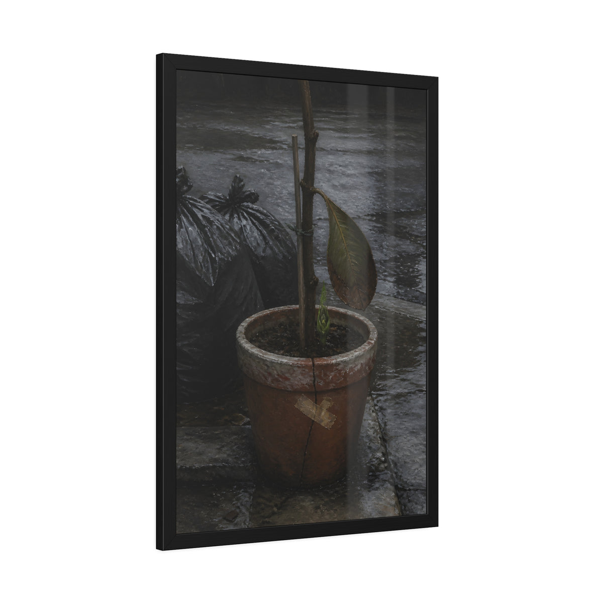 A taped clay pot with one leaf and a green shoot on wet pavement. The Green at the Base by Garabaggio, framed fine art print hanging in a room.
