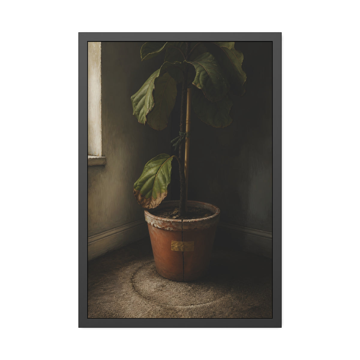 A leafy potted fig staked to a cane in a taped clay pot beside a window. The Corner by the Window by Garabaggio, framed fine art print, 24″ x 36″.