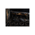 "The Front Row Bare": A Garabaggio Fine Art Print