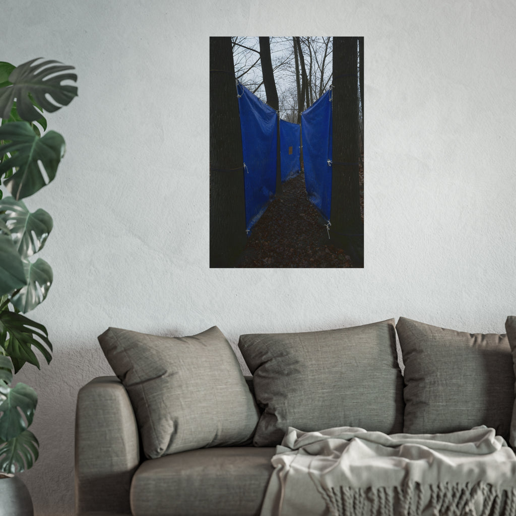 Blue tarps tied between bare trees forming a corridor over dead leaves. Passage Between Trees by Garabaggio, fine art print hanging in a room.