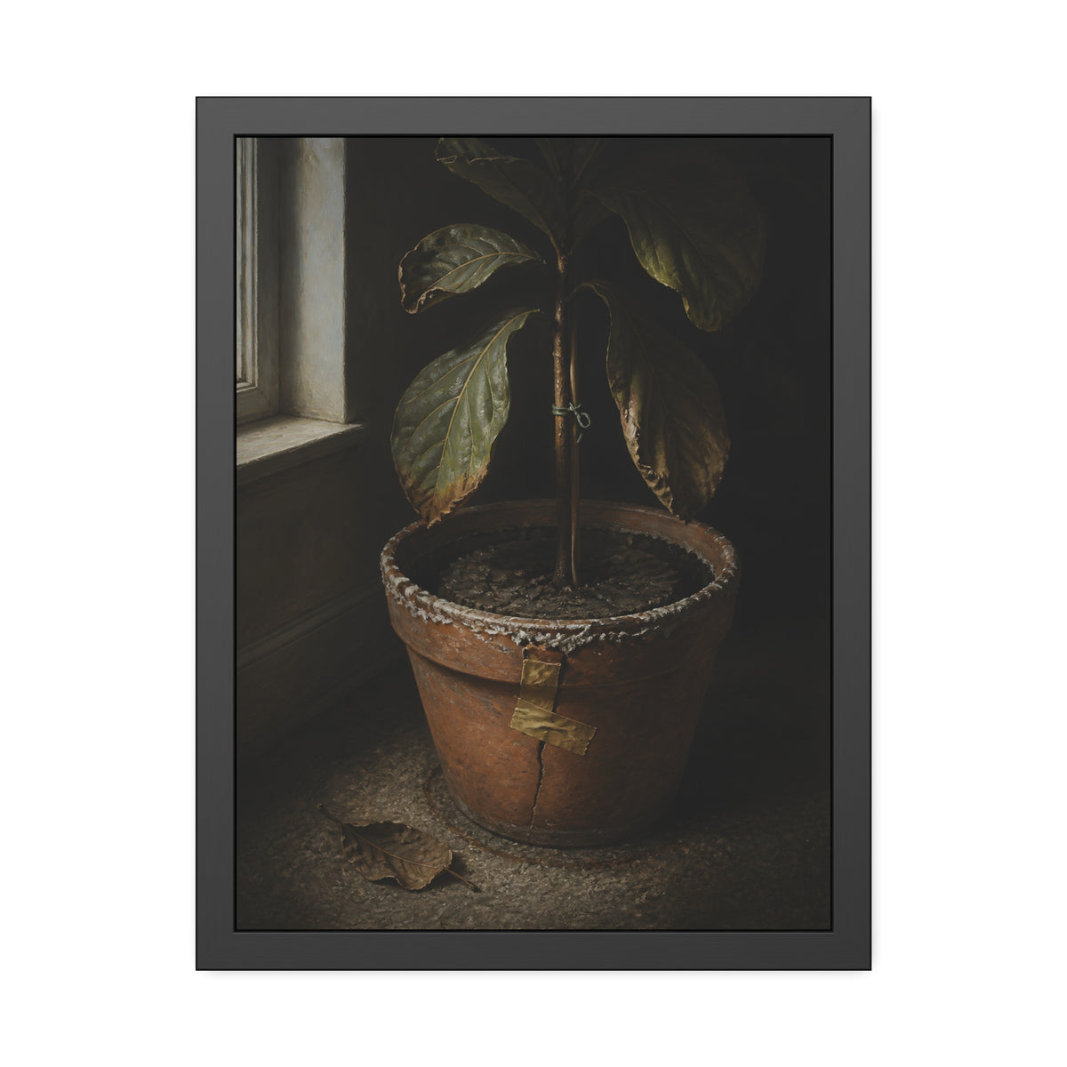 A drooping potted plant in a cracked terracotta pot beside a window. The Missed Watering by Garabaggio, framed fine art print, 18″ x 24″.