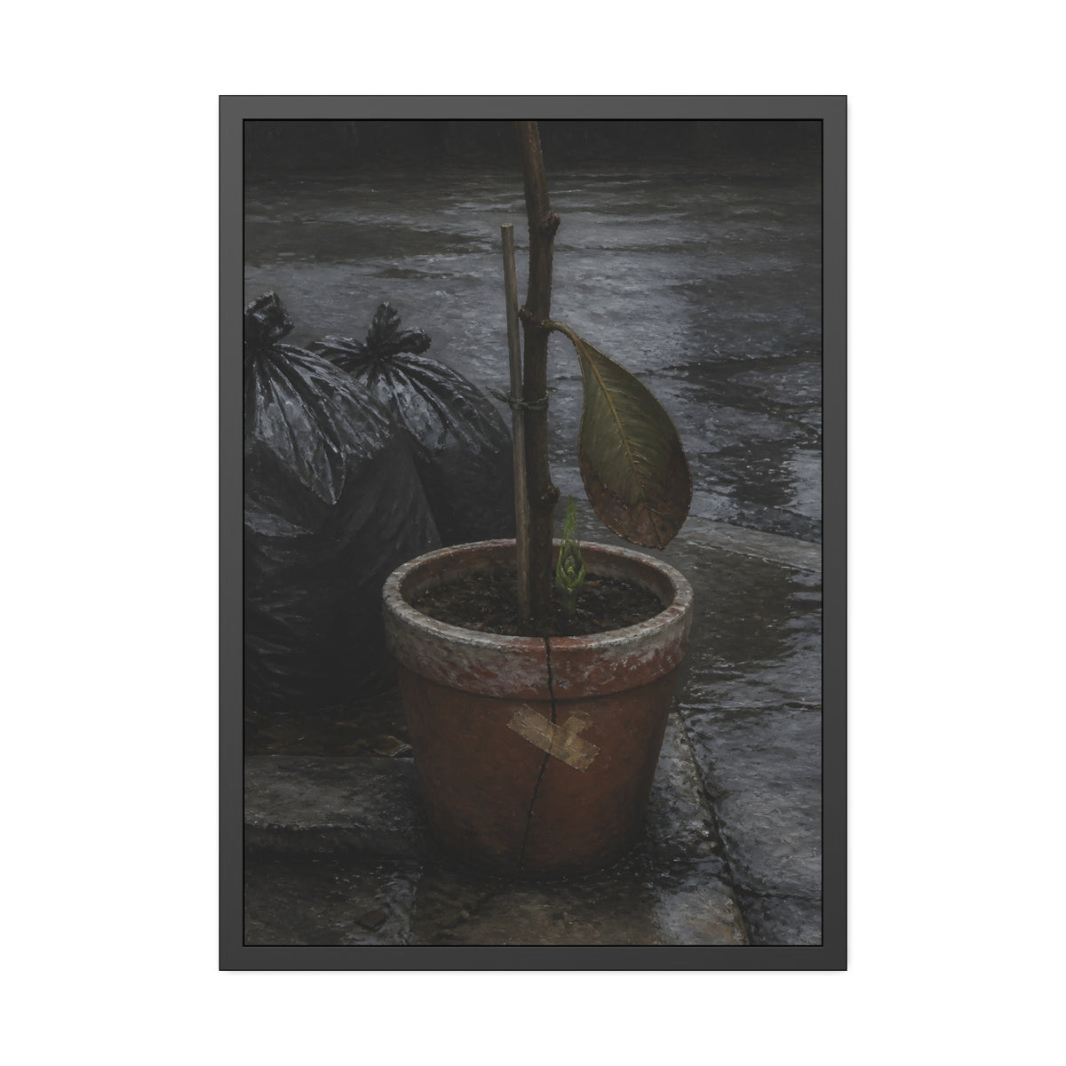 A taped clay pot with one leaf and a green shoot on wet pavement. The Green at the Base by Garabaggio, framed fine art print, 28″ x 40″.