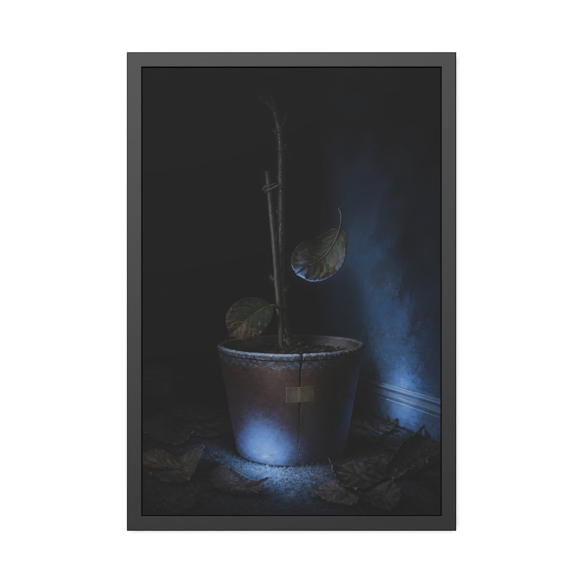 A bare potted plant dropping a leaf, dead leaves on the floor. The Leaf Lets Go by Garabaggio, framed fine art print, 24″ x 36″.